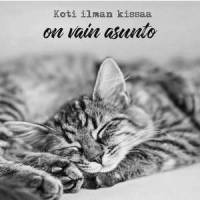 Anu Kovalainen magneetti "Koti ilman kissaa on vain asunto"