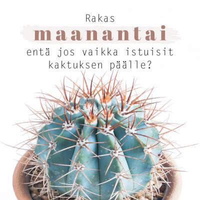 Tuotekuva