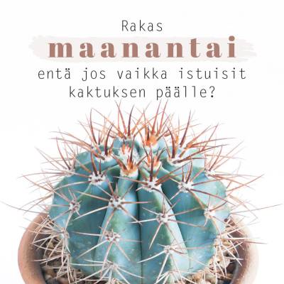 Mietelausemagneetti "Rakas maanantai entä jos vaikka istuisit kaktuksen päälle", Mietteitä maalta