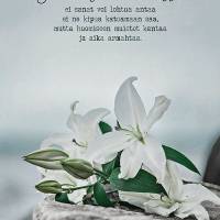 Muistoadressi Suuren surun äärellä